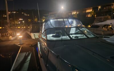 Sea Ray Sundancer 290